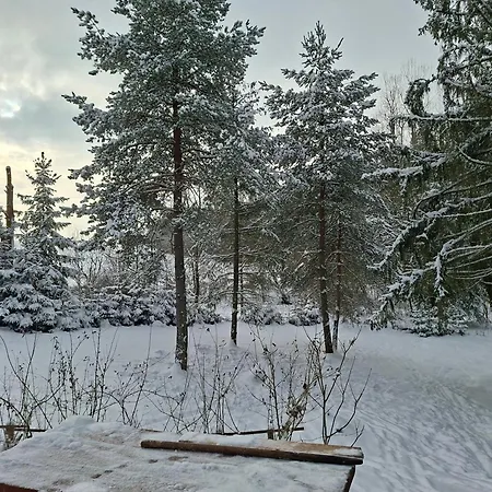 Chalet Cottage Tatry so saunou