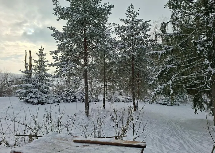 Chalet Cottage Tatry so saunou